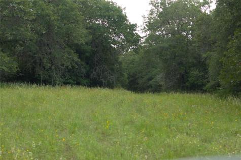 1742 County Road 413 N Lexington TX 78947