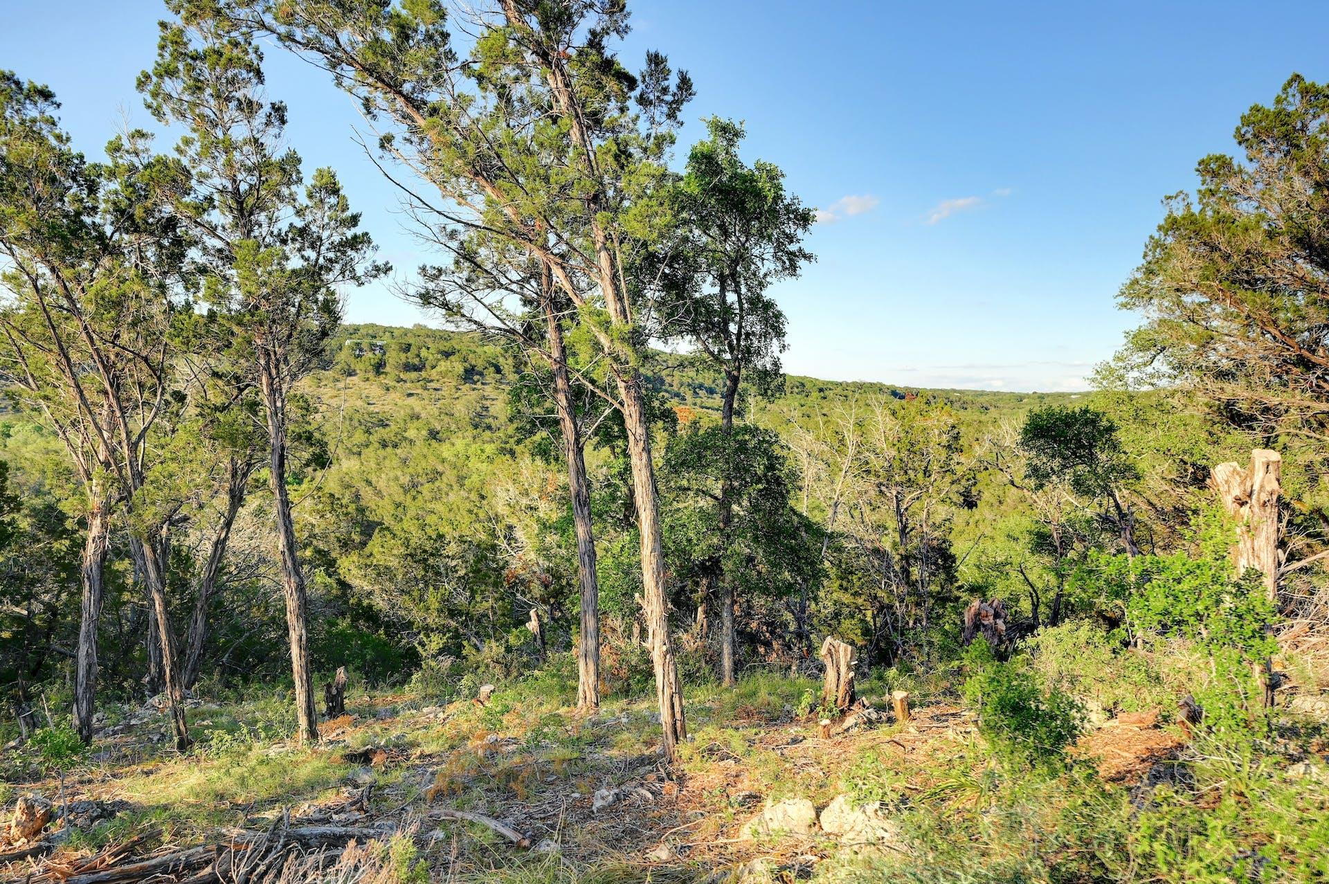 10700 Fm306 New Braunfels TX 78132