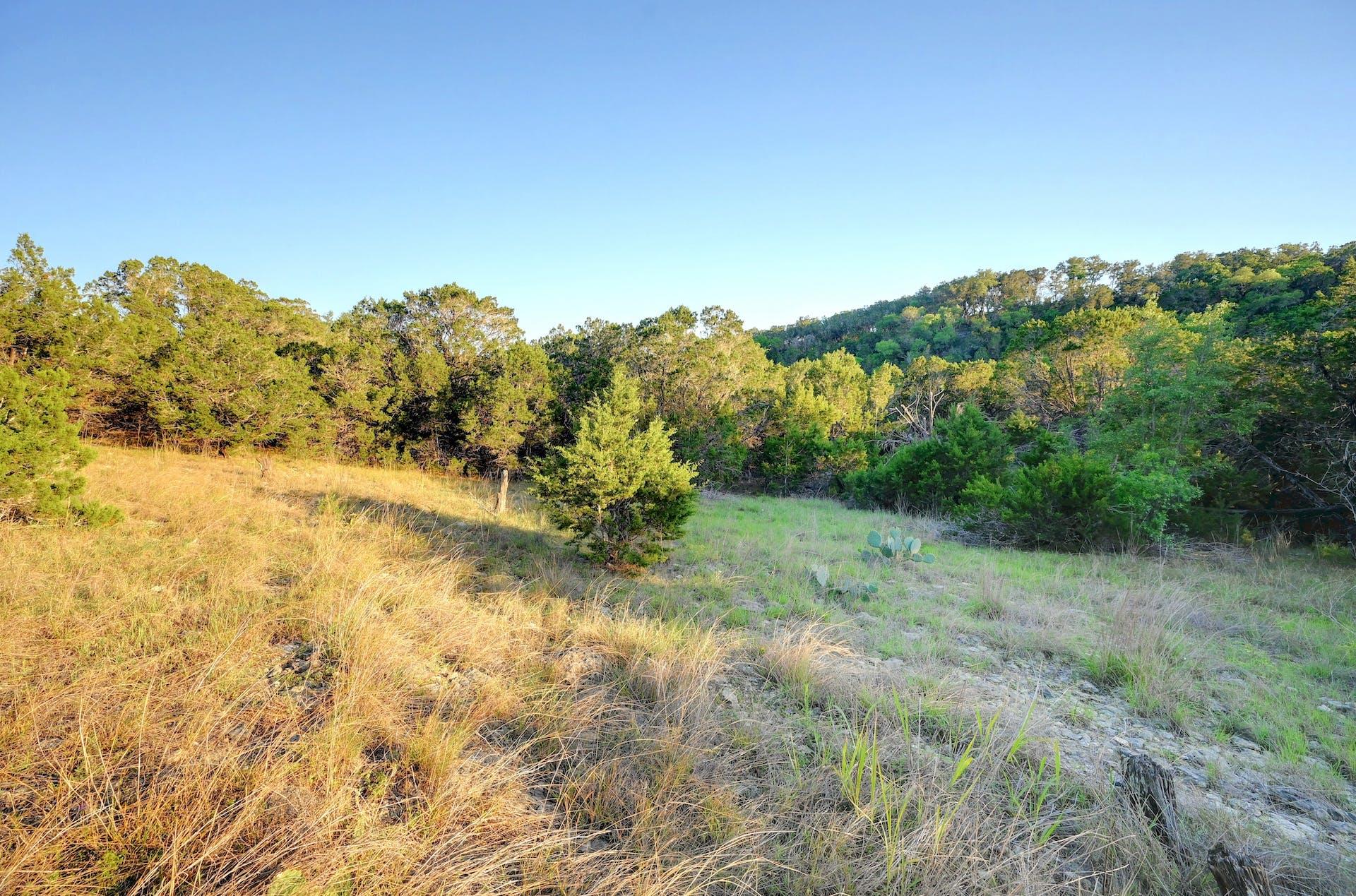 10700 Fm306 New Braunfels TX 78132