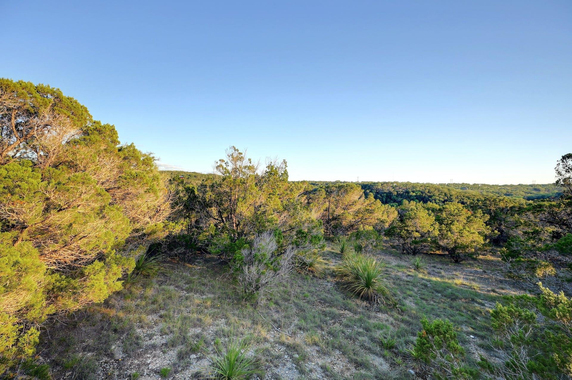 10700 Fm306 New Braunfels TX 78132
