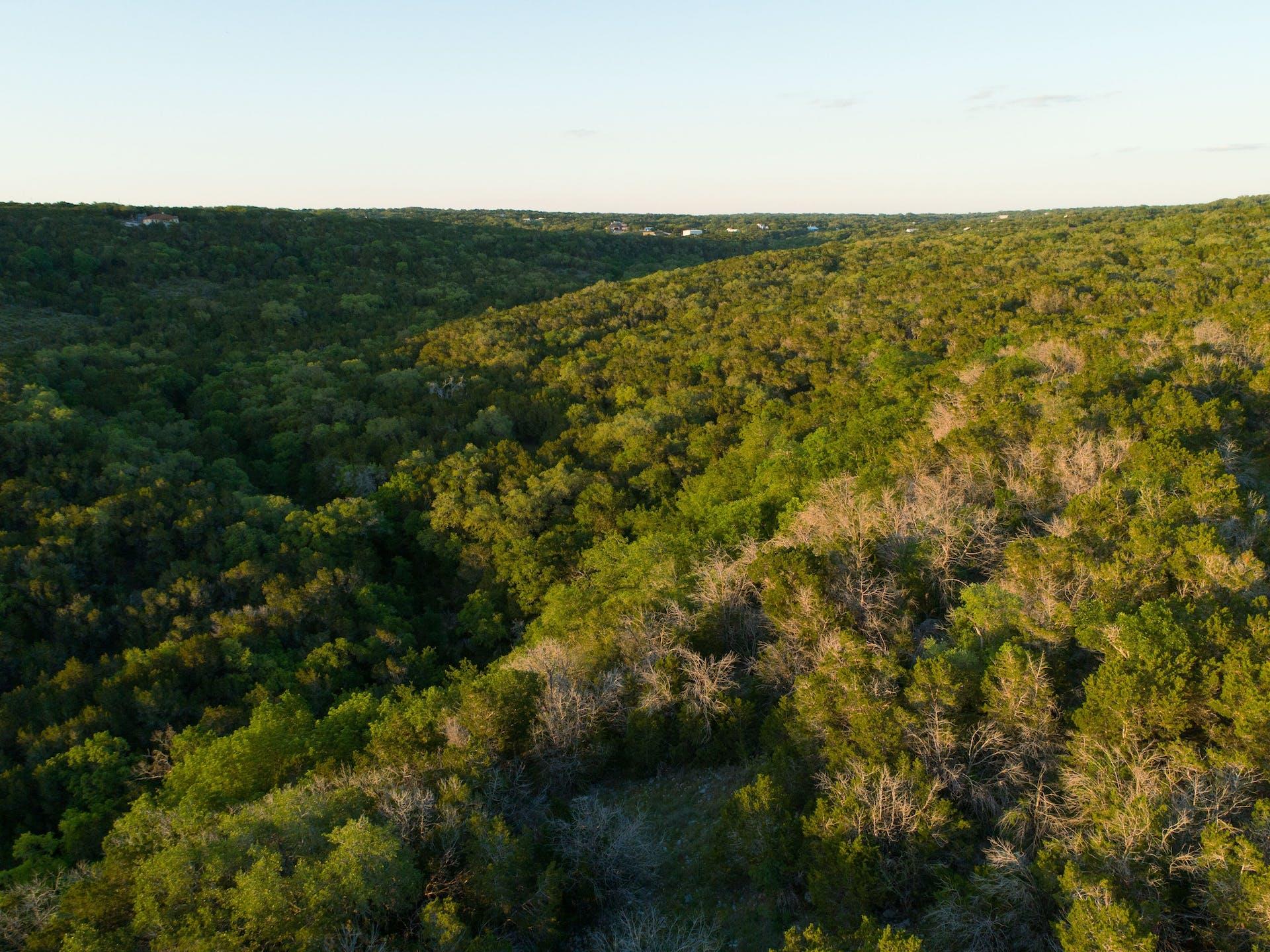 10700 Fm306 New Braunfels TX 78132