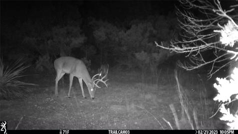 10700 Fm306 New Braunfels TX 78132