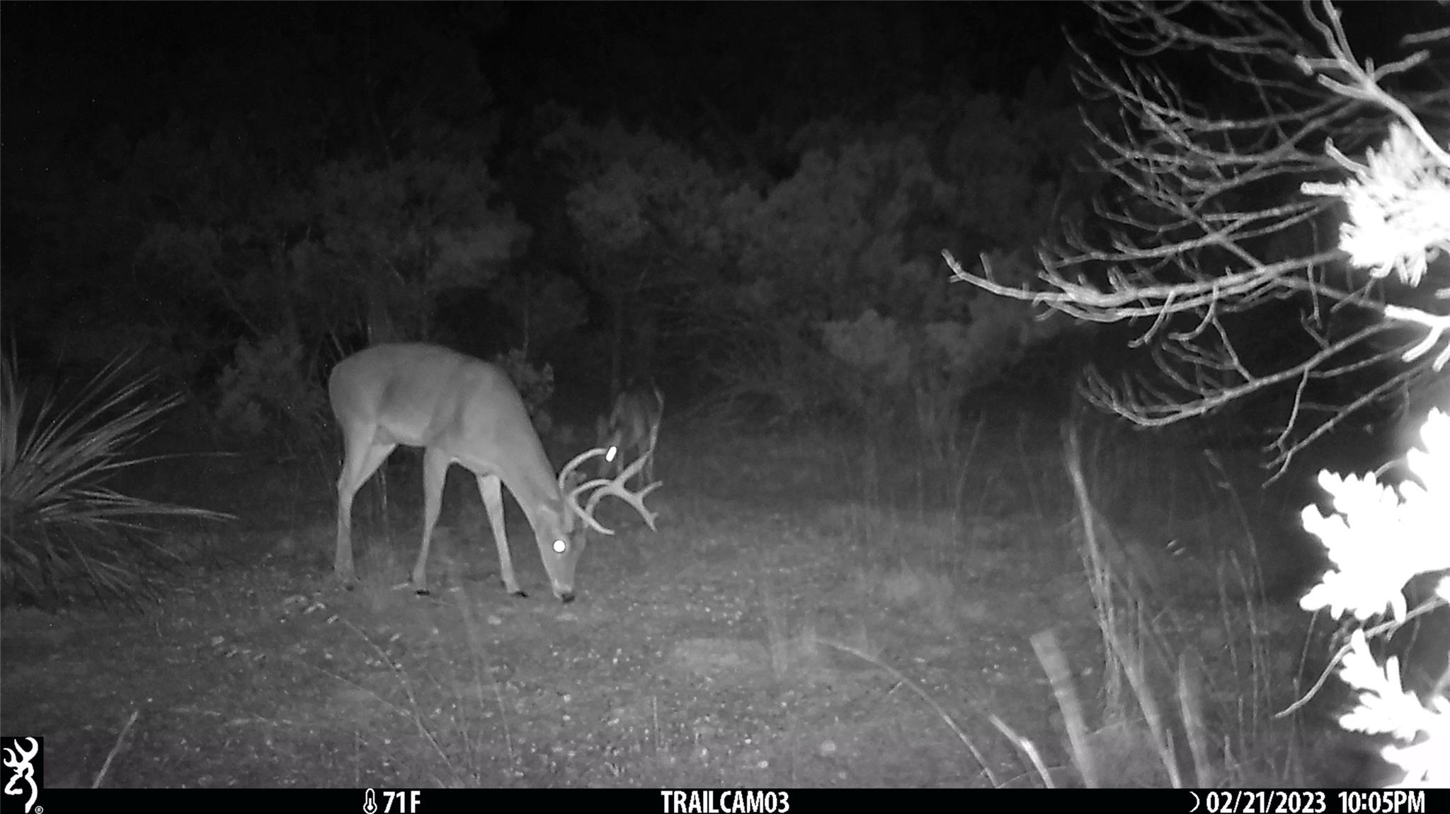 10700 Fm306 New Braunfels TX 78132