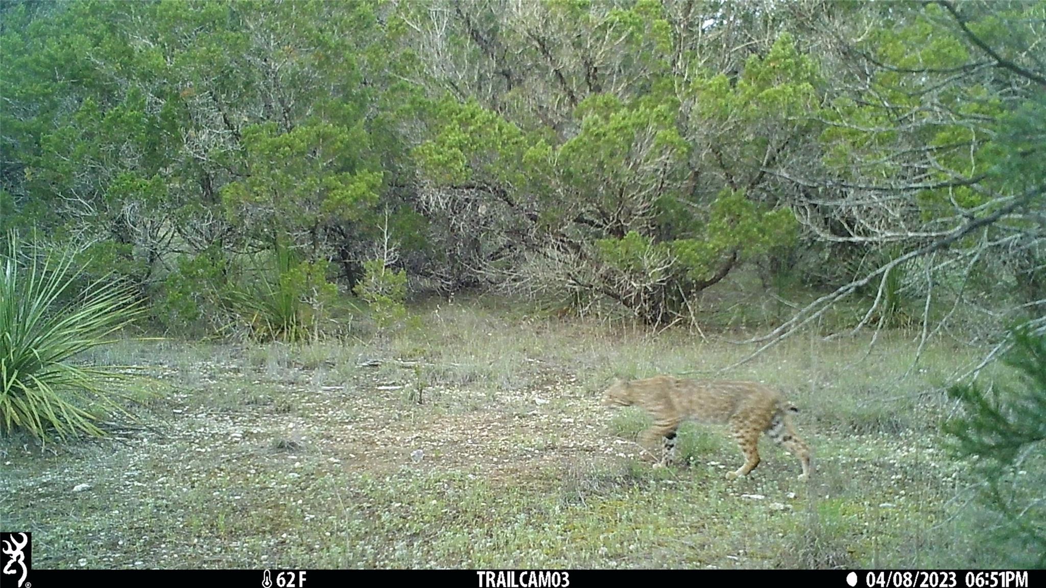 10700 Fm306 New Braunfels TX 78132