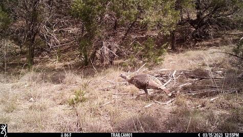 10700 Fm306 New Braunfels TX 78132