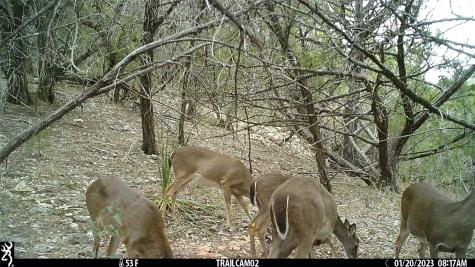 10700 Fm306 New Braunfels TX 78132