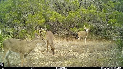 10700 Fm306 New Braunfels TX 78132