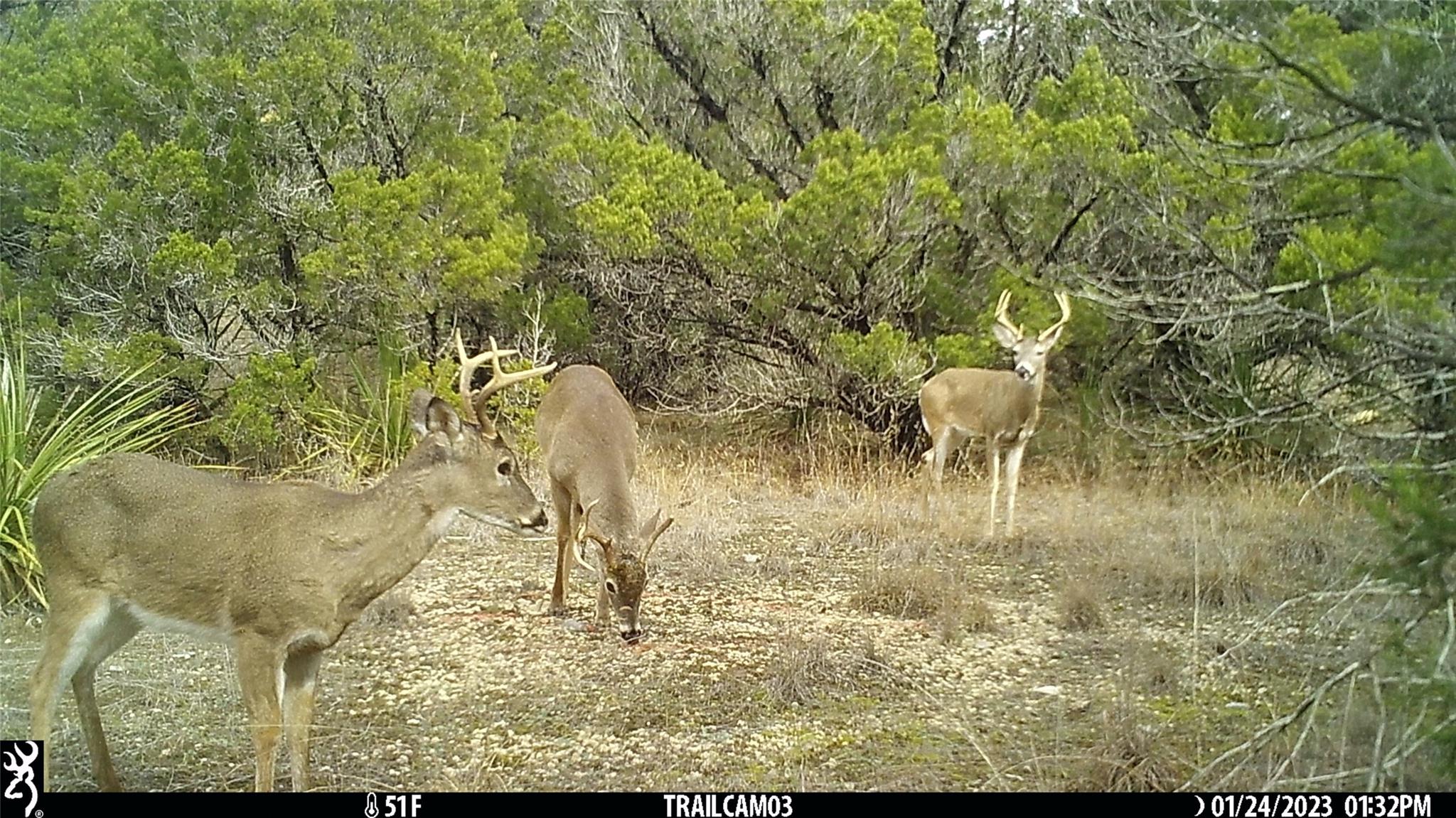 10700 Fm306 New Braunfels TX 78132