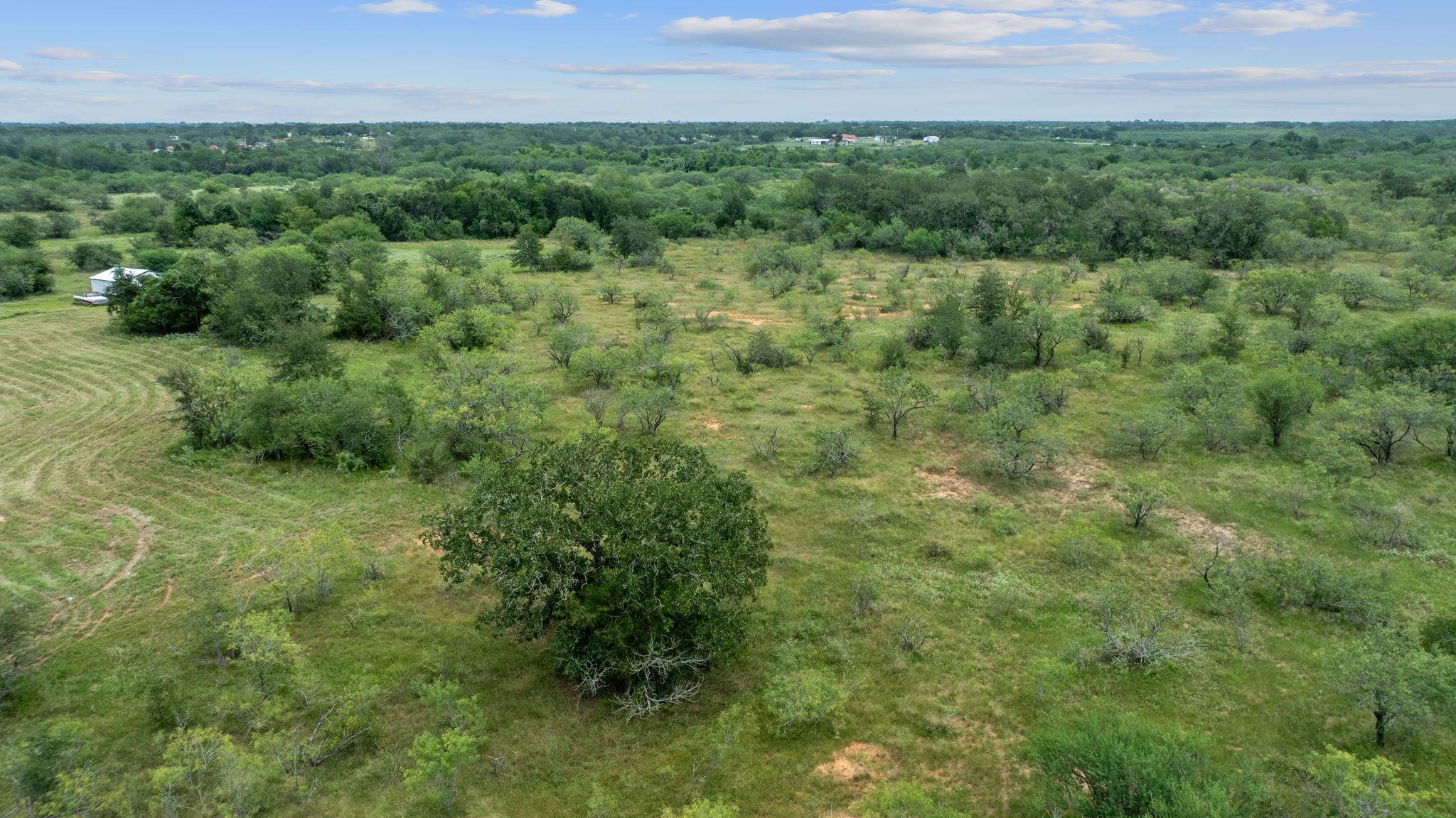 3597 Baker Road Kingsbury TX 78638