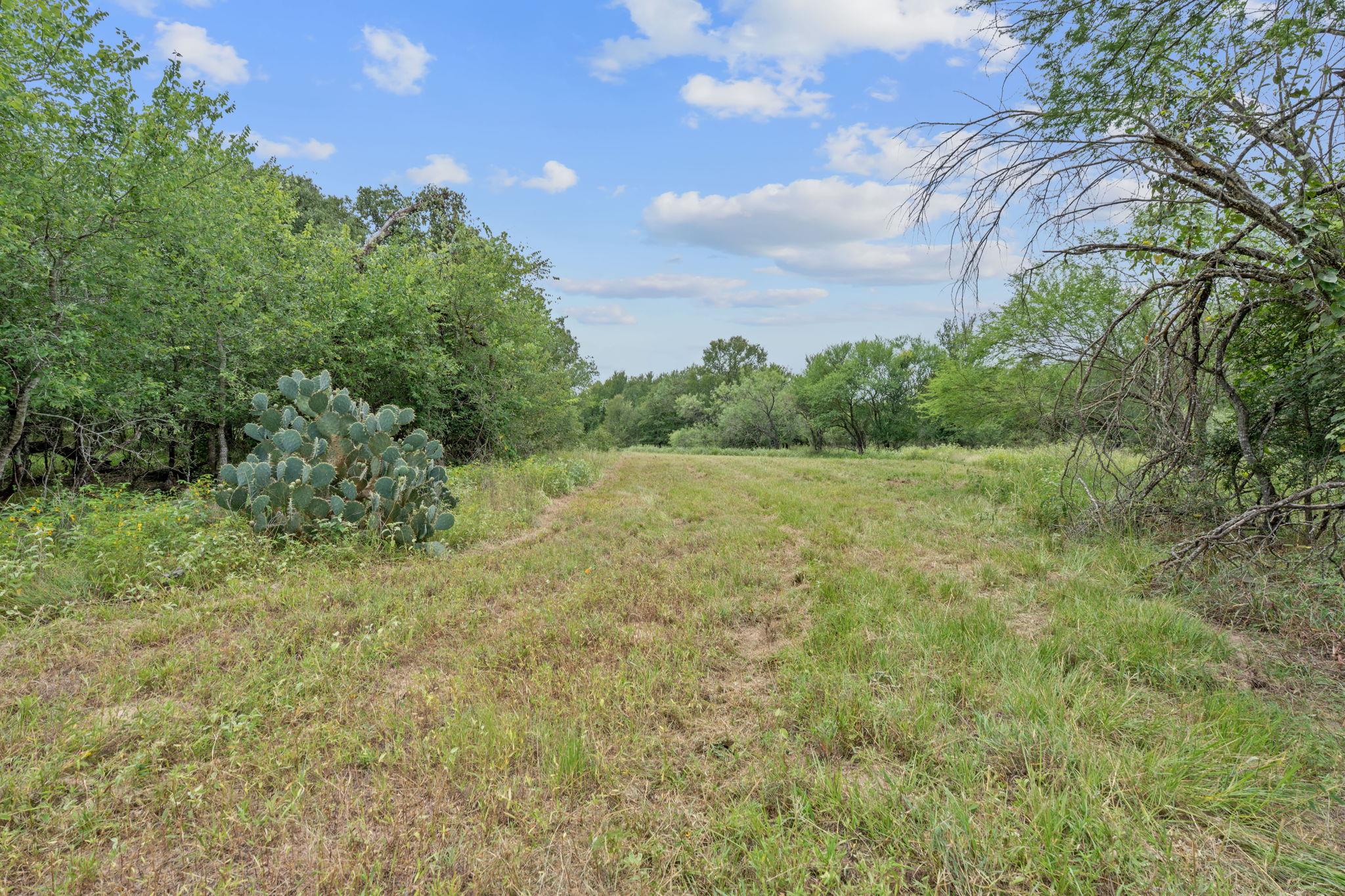 3597 Baker Road Kingsbury TX 78638