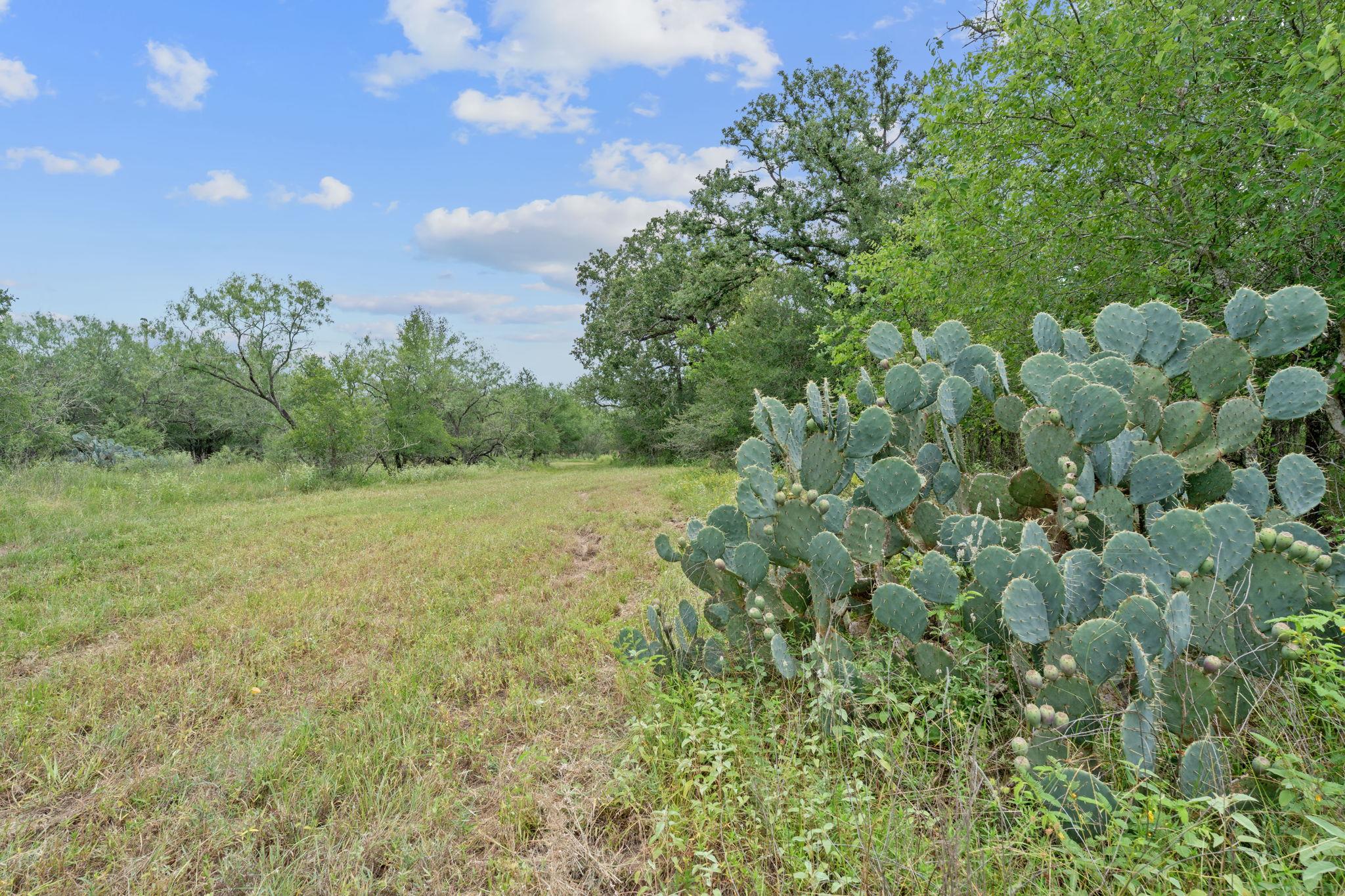3597 Baker Road Kingsbury TX 78638