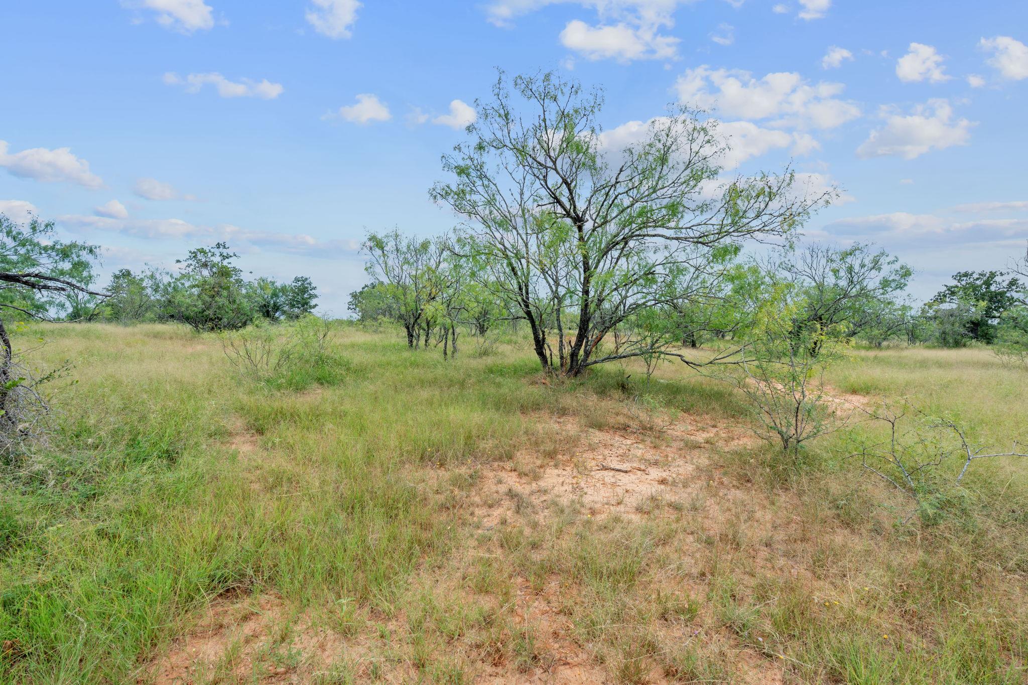 3597 Baker Road Kingsbury TX 78638