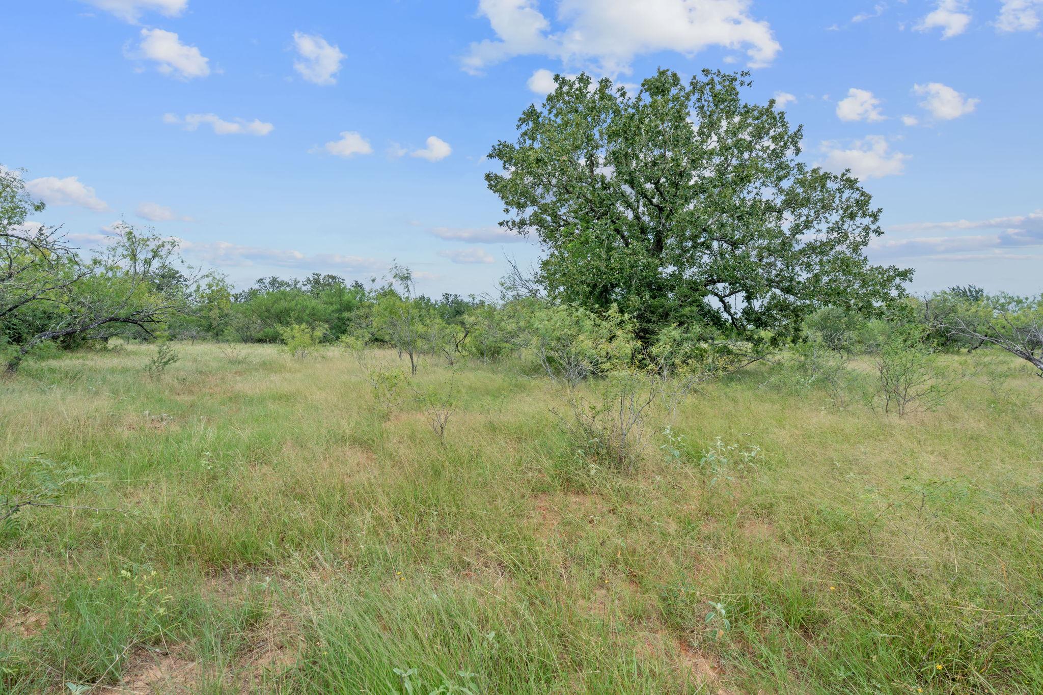 3597 Baker Road Kingsbury TX 78638