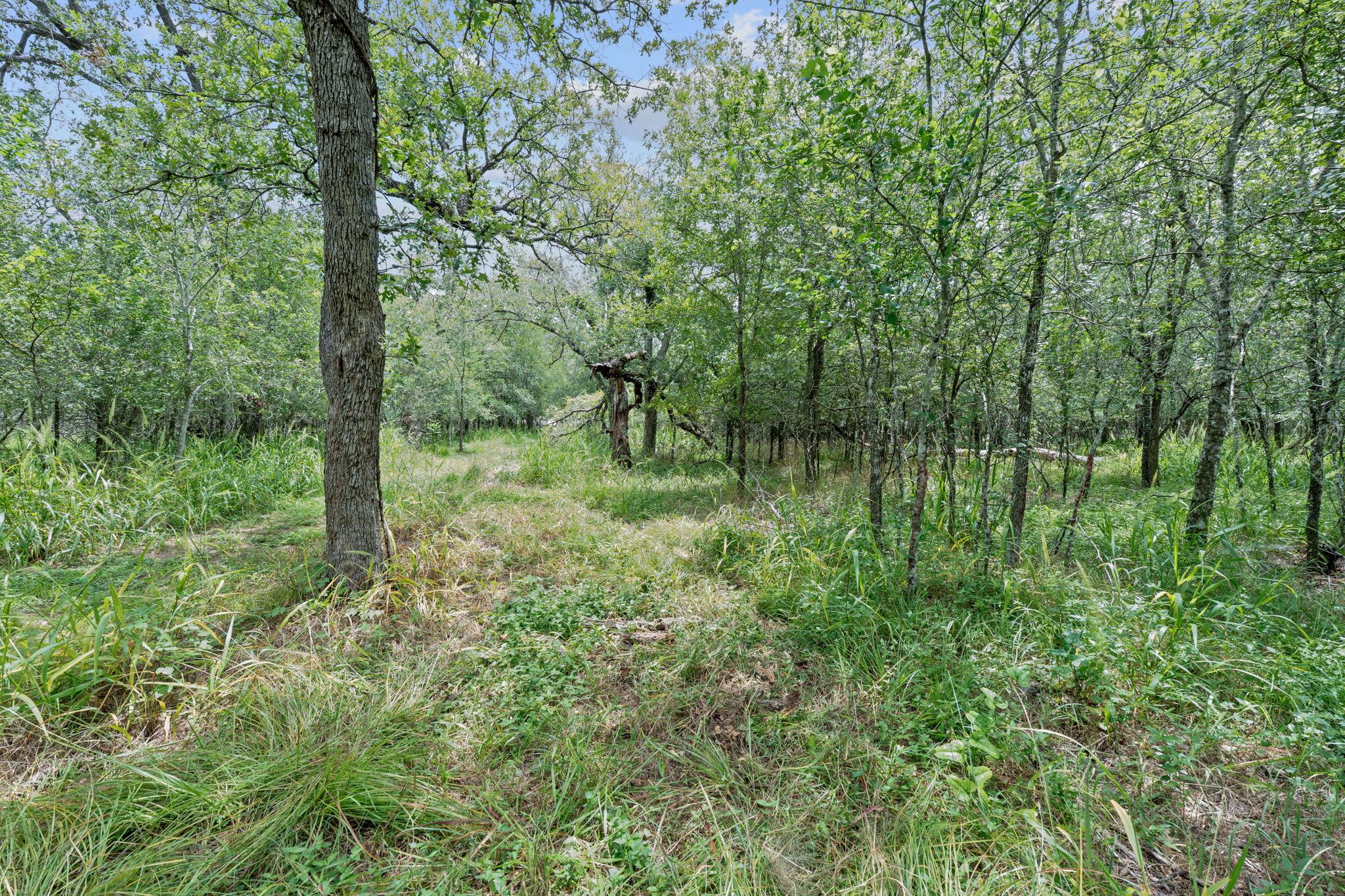 3597 Baker Road Kingsbury TX 78638