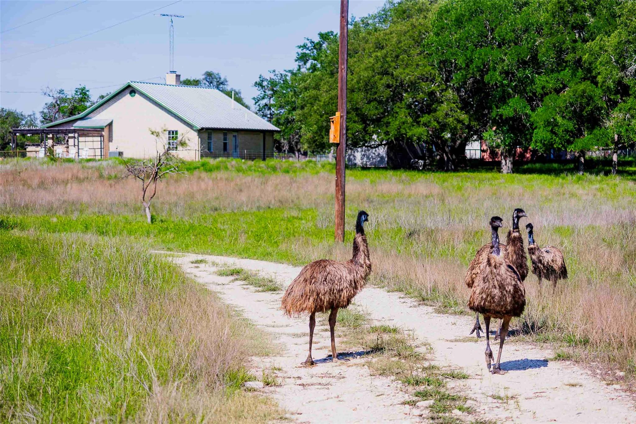 2265 County Road 106 Purmela TX 76566