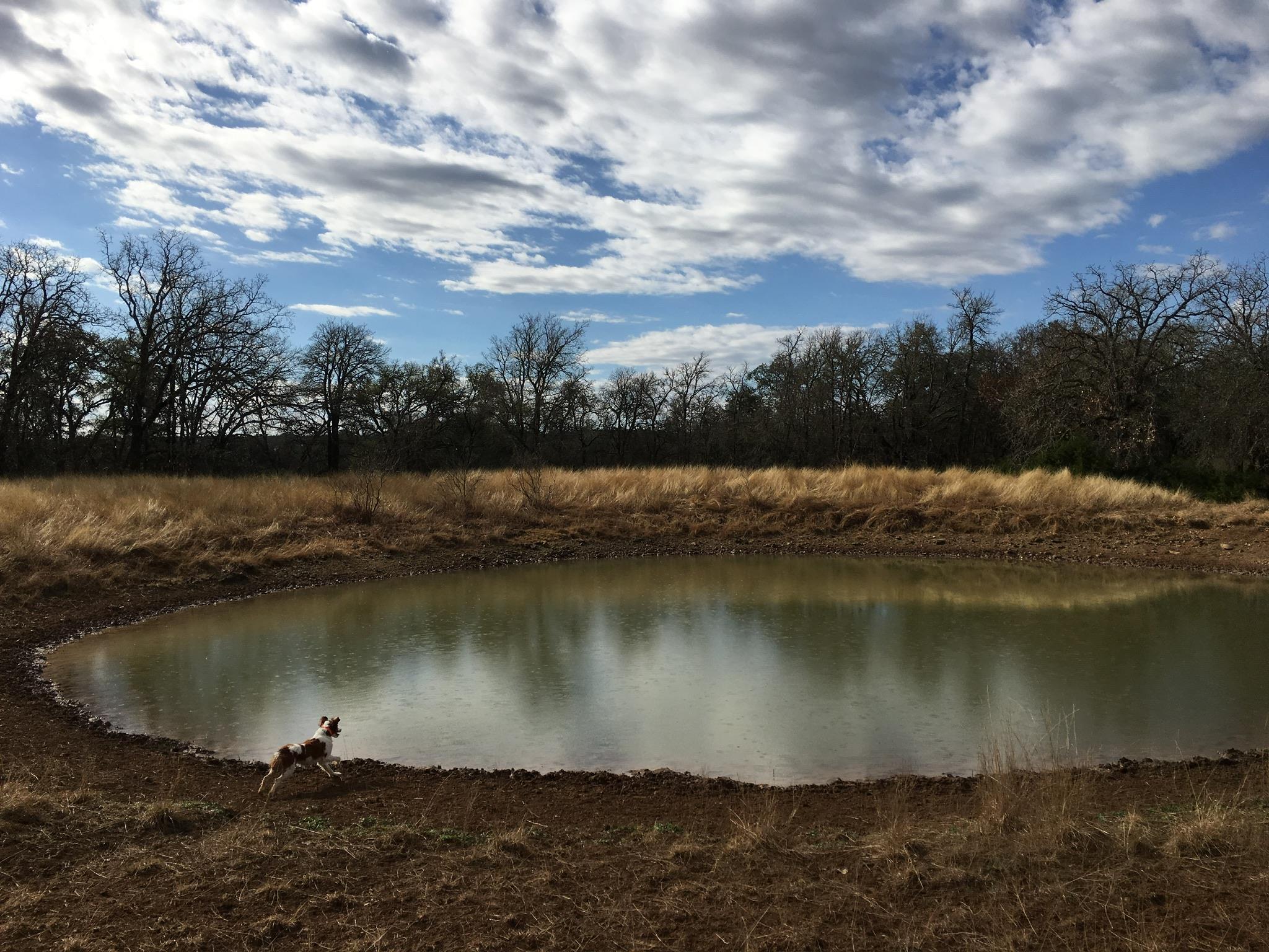 2265 County Road 106 Purmela TX 76566