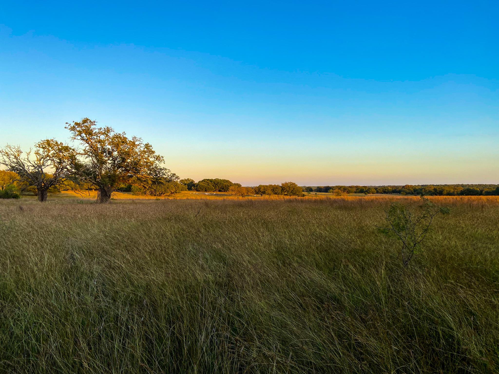 2265 County Road 106 Purmela TX 76566