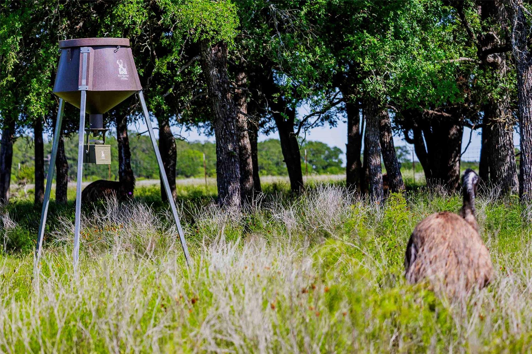 2265 County Road 106 Purmela TX 76566