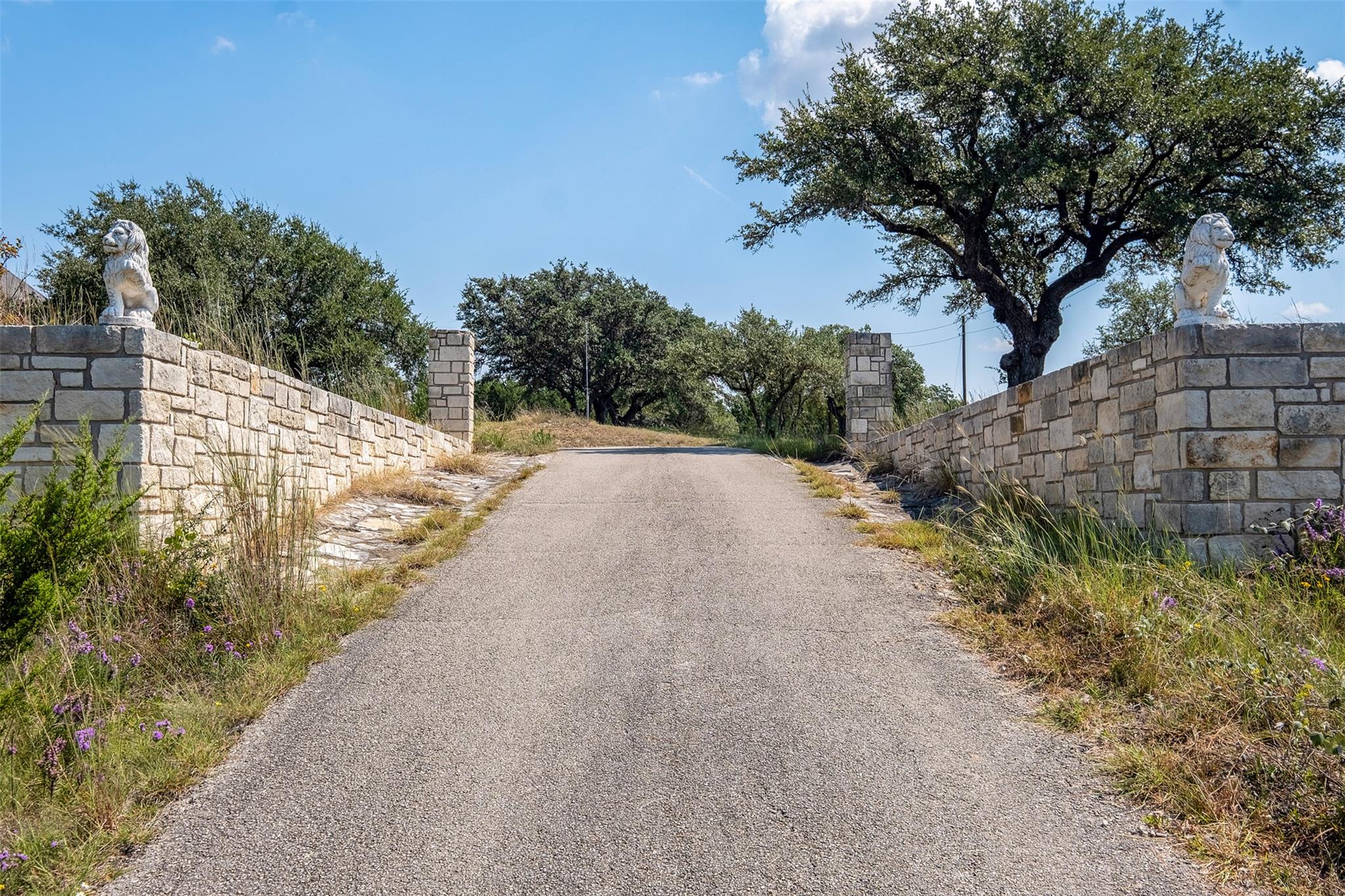 360 Sunset Ridge Liberty Hill TX 78642