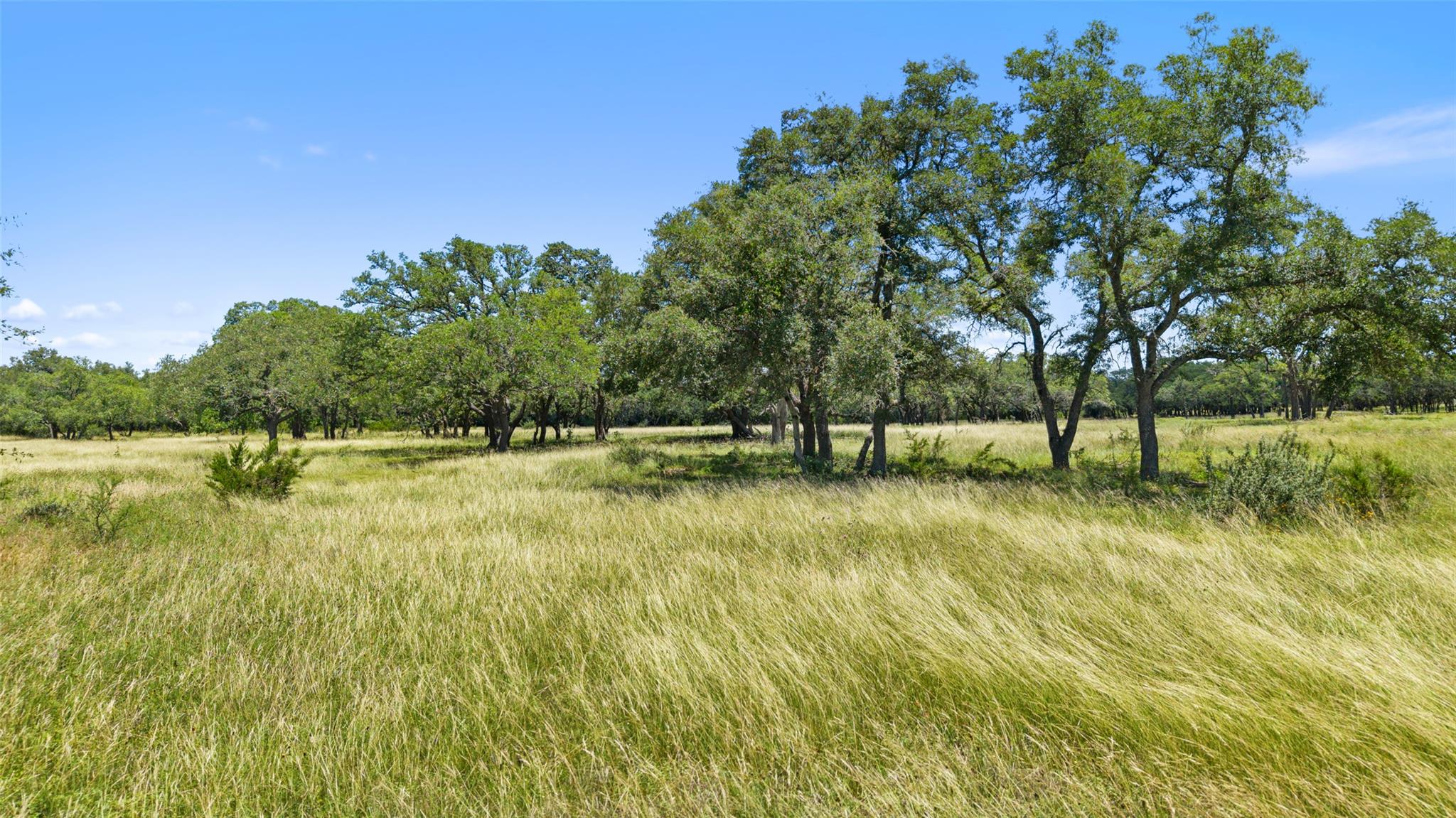 Tbd 2 Lindeman Lane Blanco TX 78606