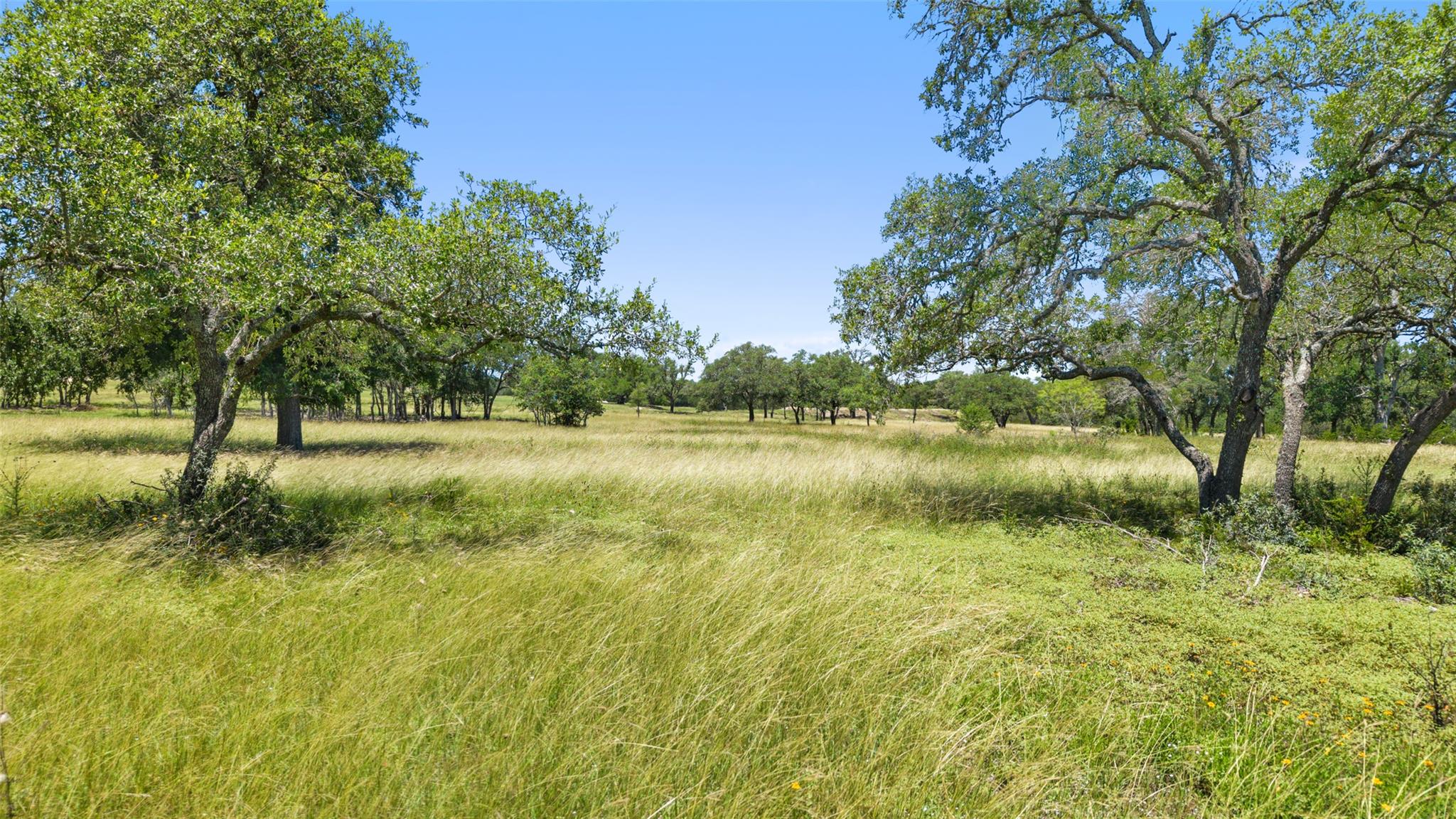 Tbd 2 Lindeman Lane Blanco TX 78606