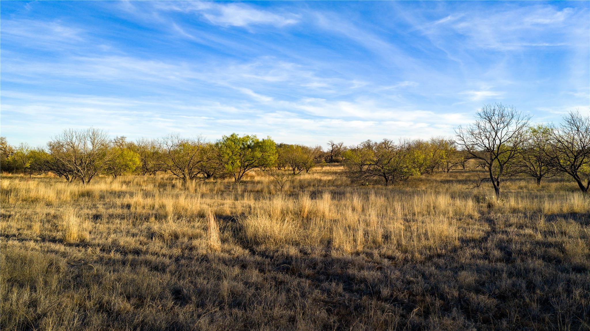 126 Buffalo Road Valley Spring TX 76885