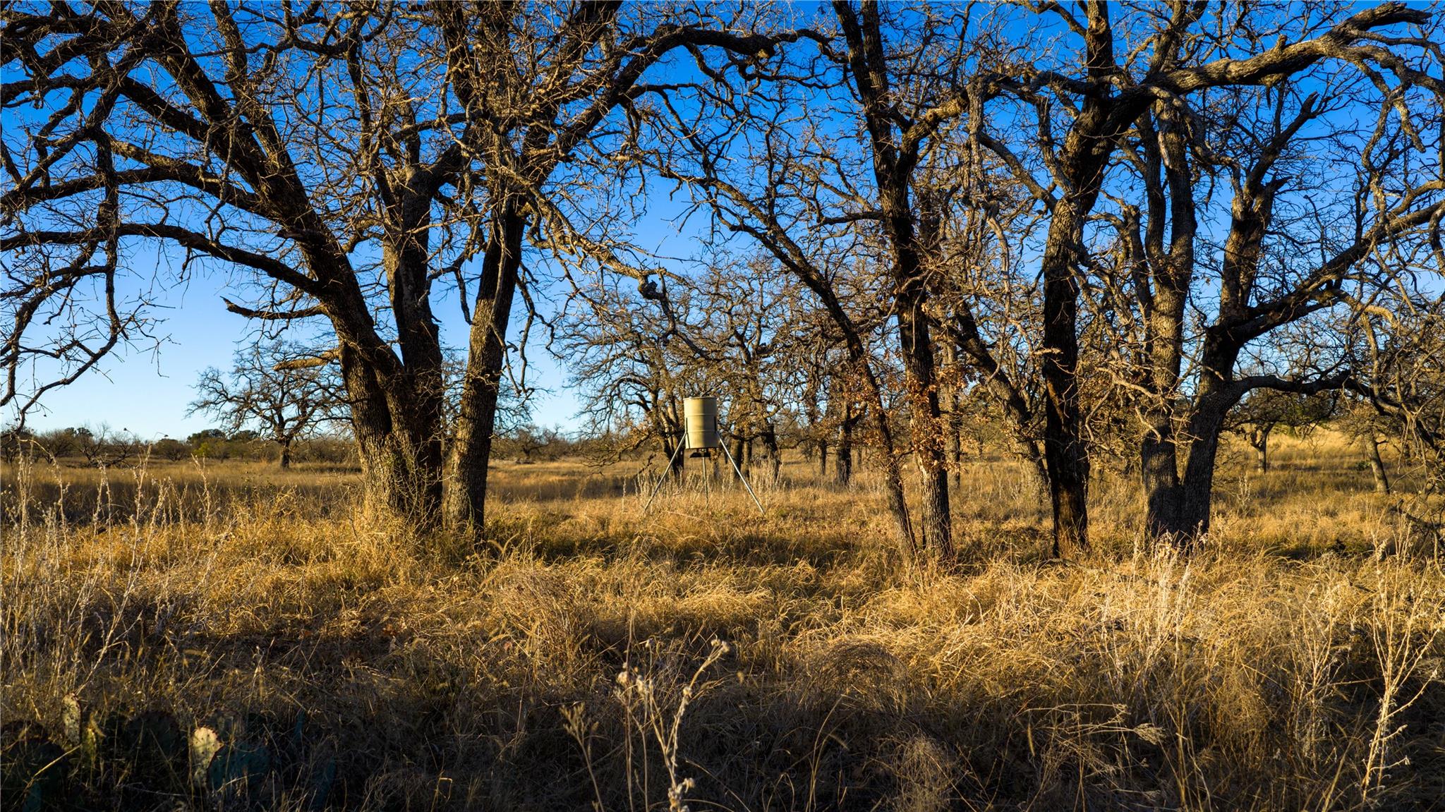 126 Buffalo Road Valley Spring TX 76885
