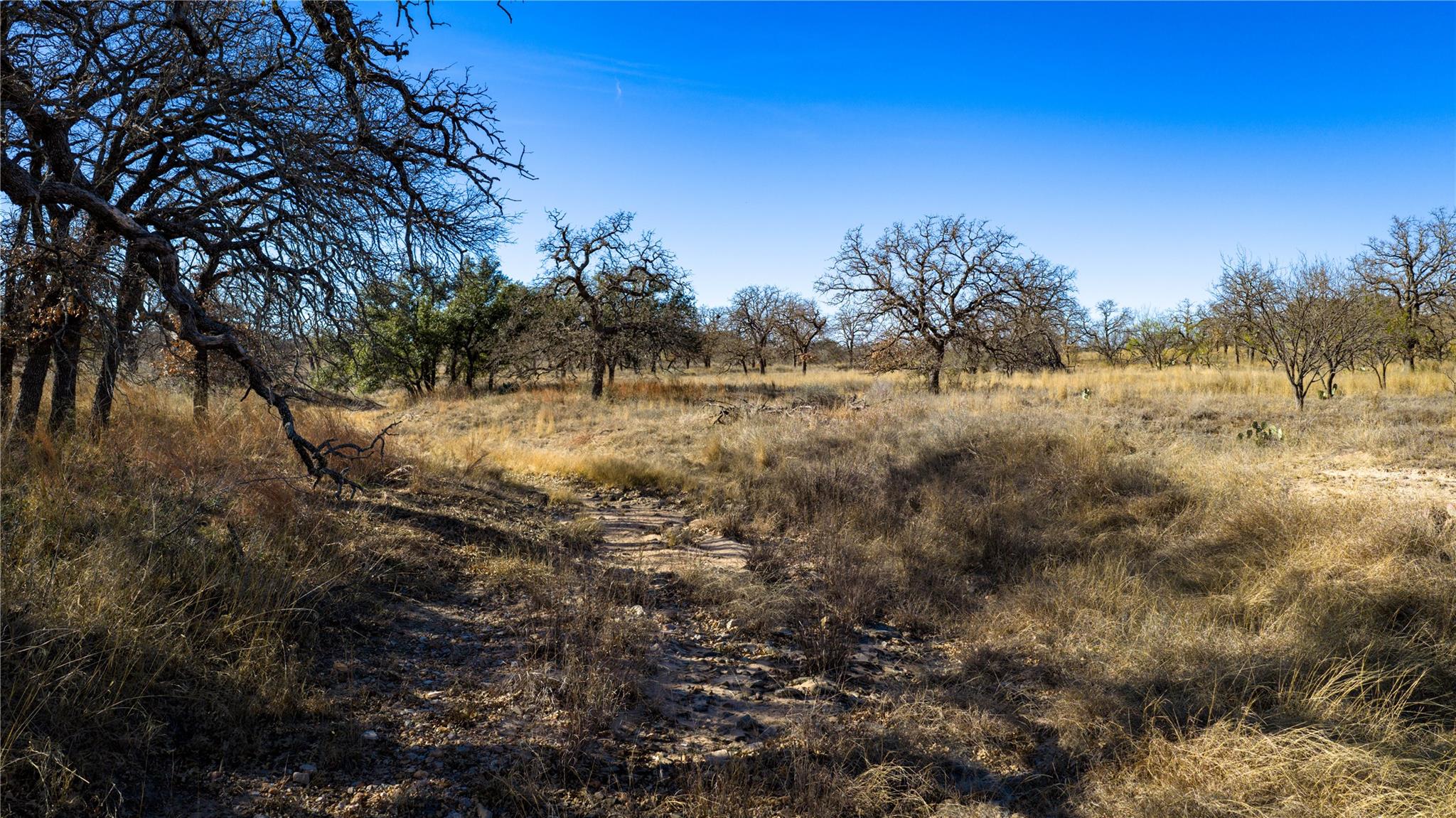 126 Buffalo Road Valley Spring TX 76885