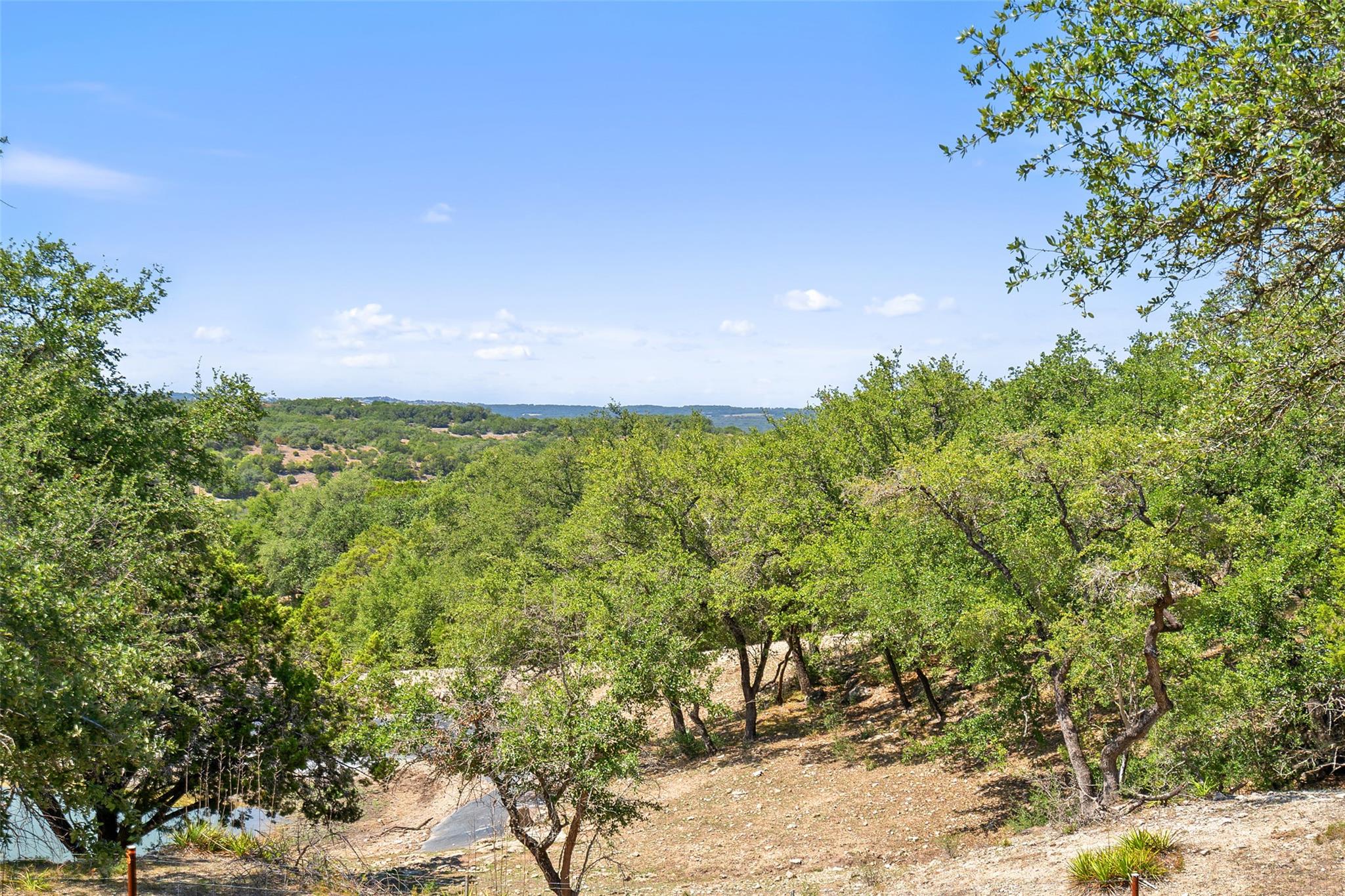 175 Scenic Ridge Drive Spicewood TX 78669