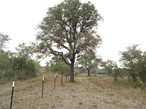251 Lefty Lane Goliad TX 77963