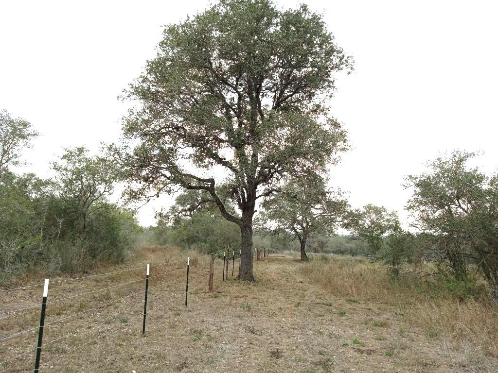 251 Lefty Lane Goliad TX 77963