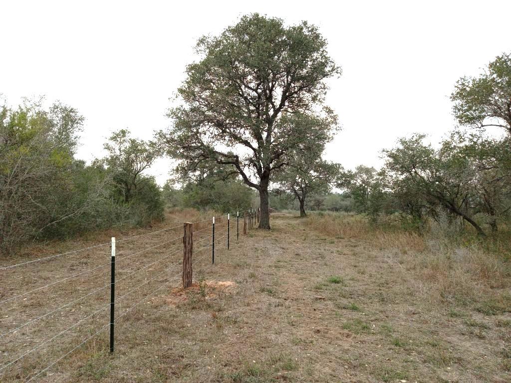 251 Lefty Lane Goliad TX 77963