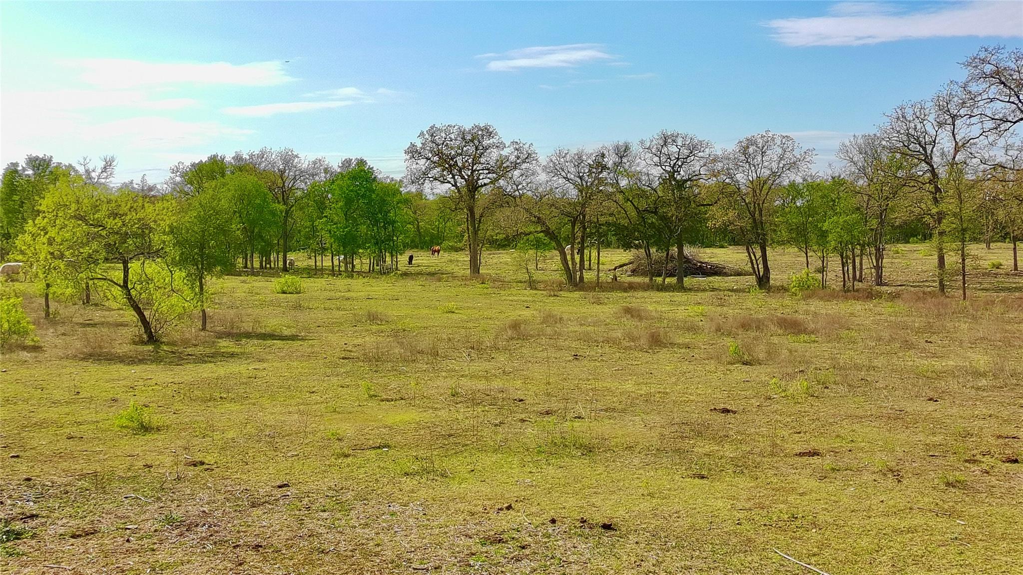 9024 Lockwood Springs Road Manor TX 78653