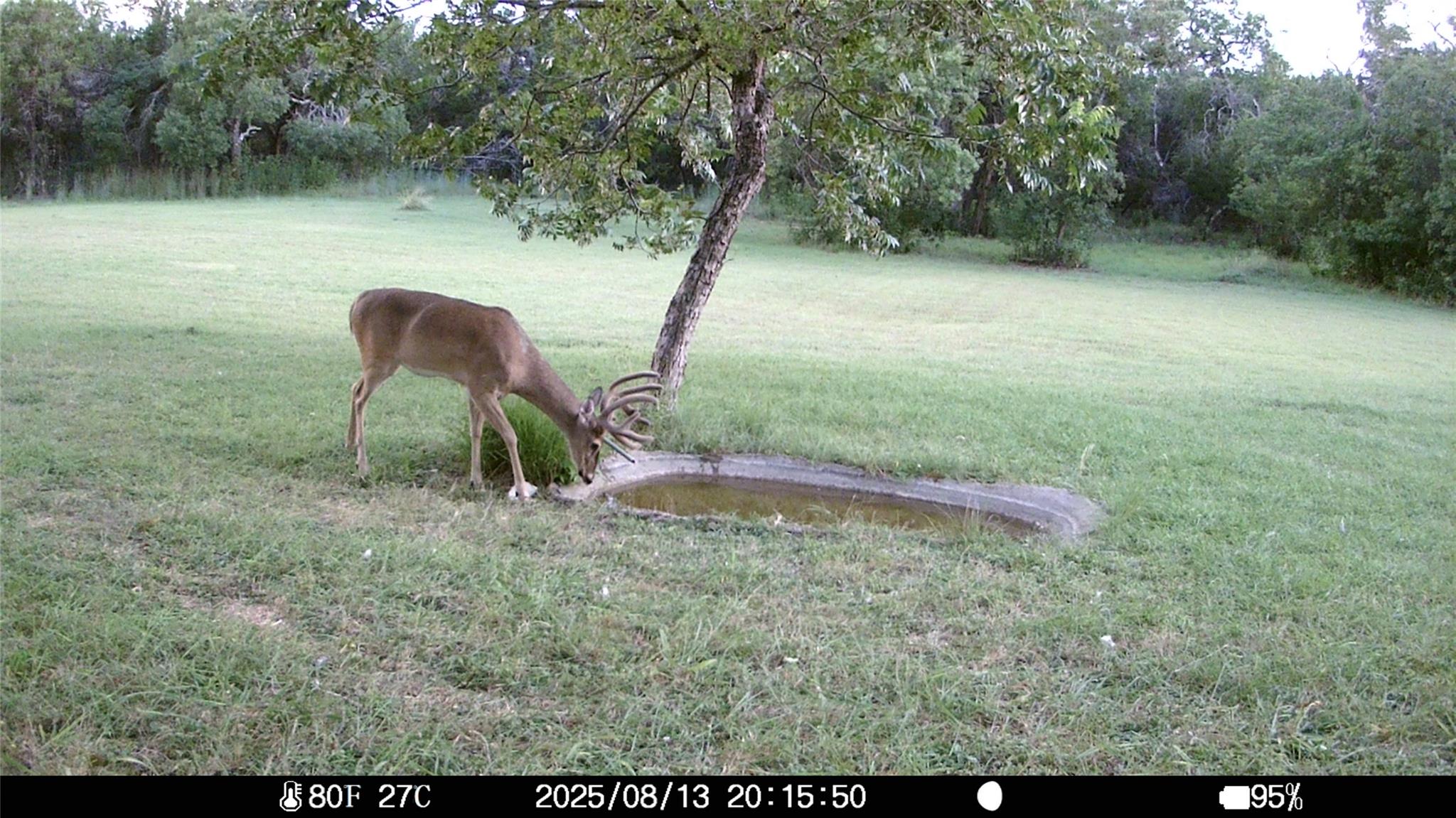 19115 Old F M Road 1431 Jonestown TX 78645