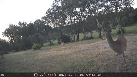 19115 Old F M Road 1431 Jonestown TX 78645