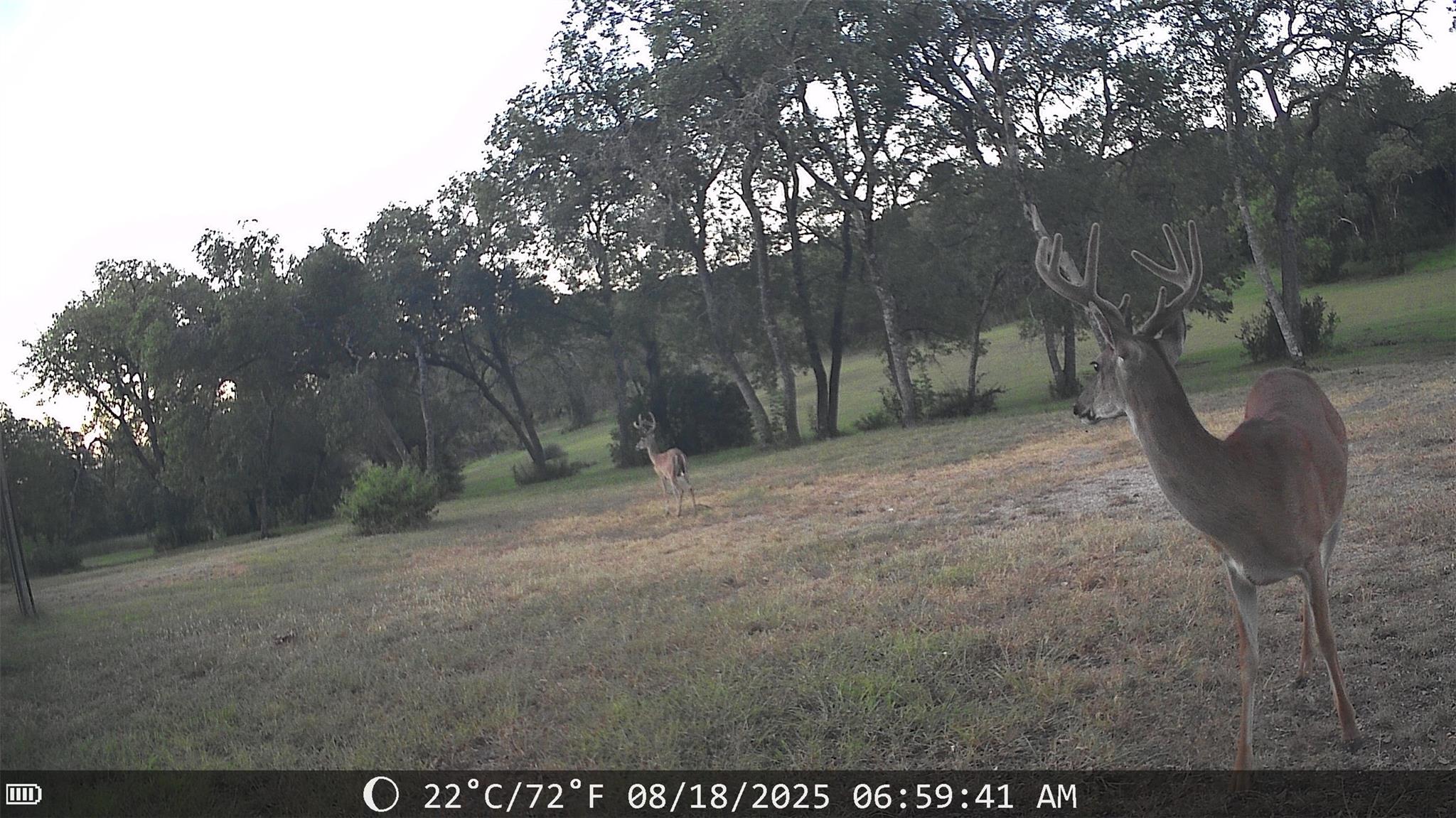 19115 Old F M Road 1431 Jonestown TX 78645