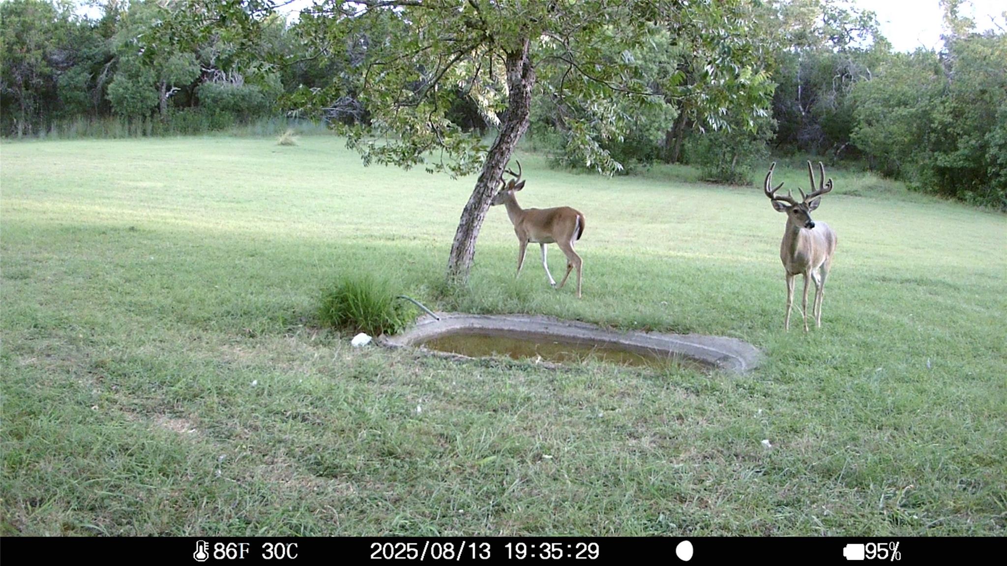 19115 Old F M Road 1431 Jonestown TX 78645