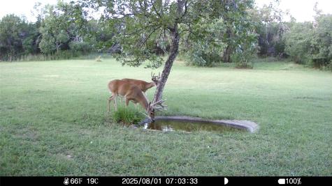 19115 Old F M Road 1431 Jonestown TX 78645