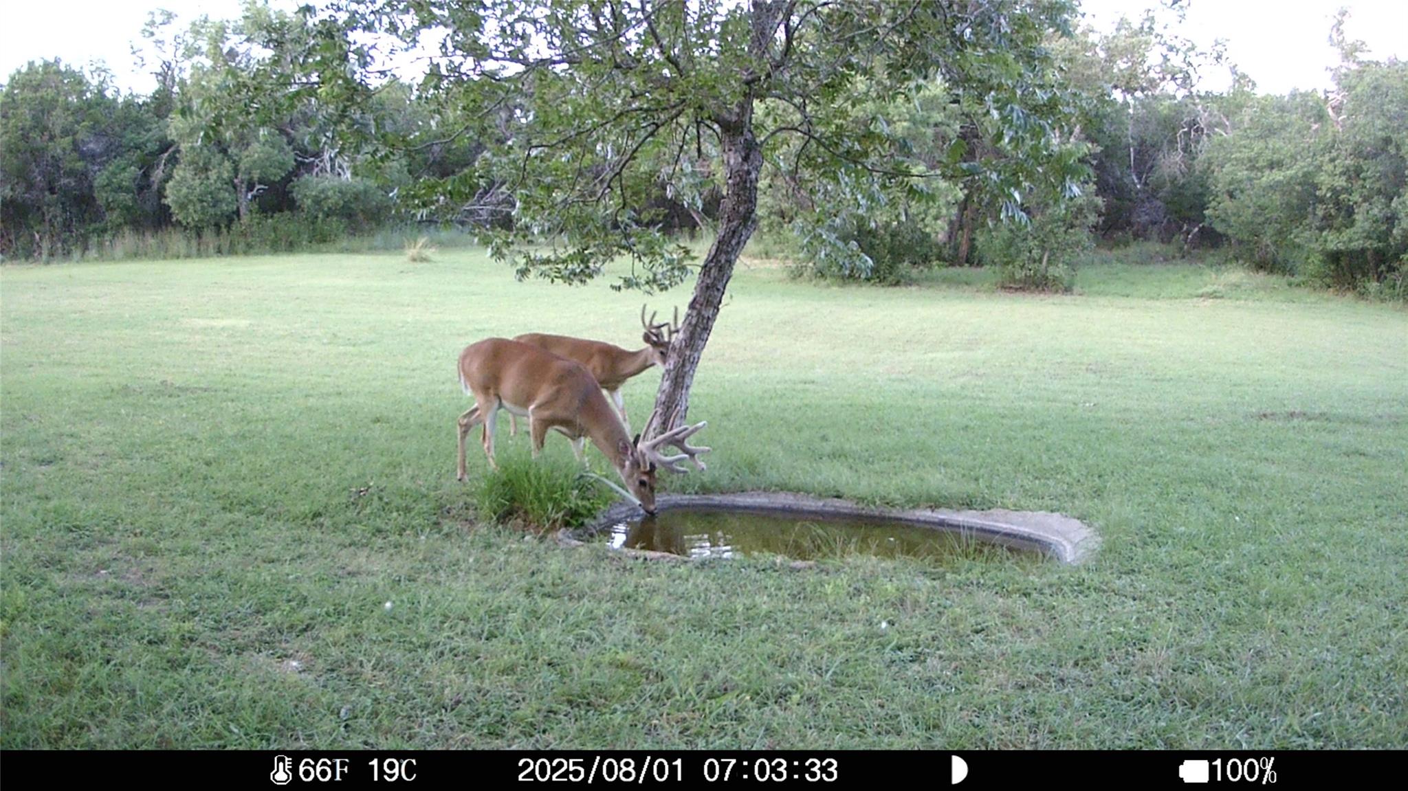 19115 Old F M Road 1431 Jonestown TX 78645