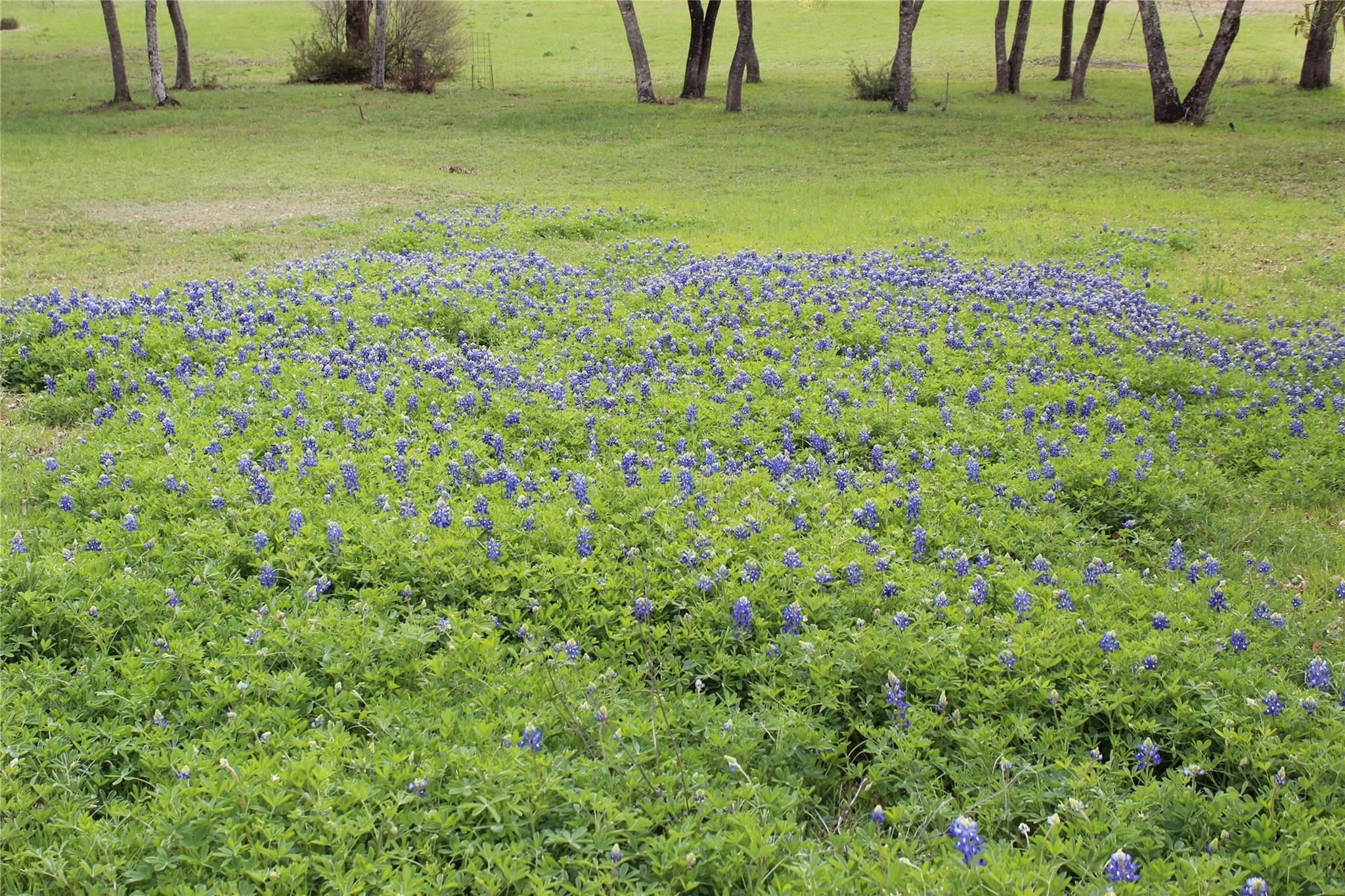 19115 Old F M Road 1431 Jonestown TX 78645