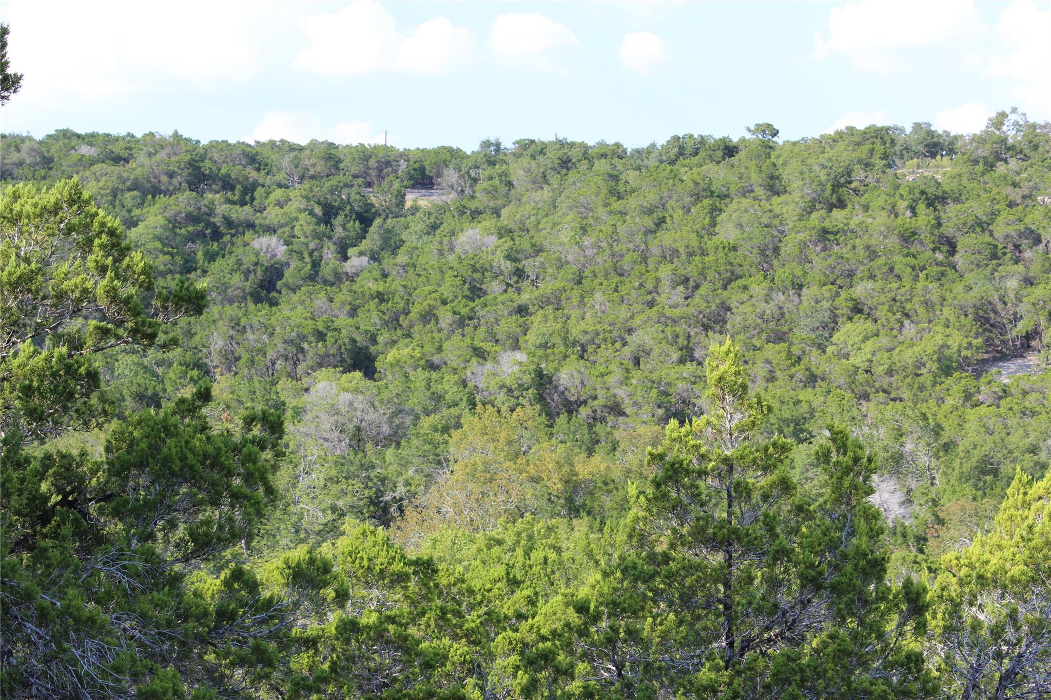 19115 Old F M Road 1431 Jonestown TX 78645