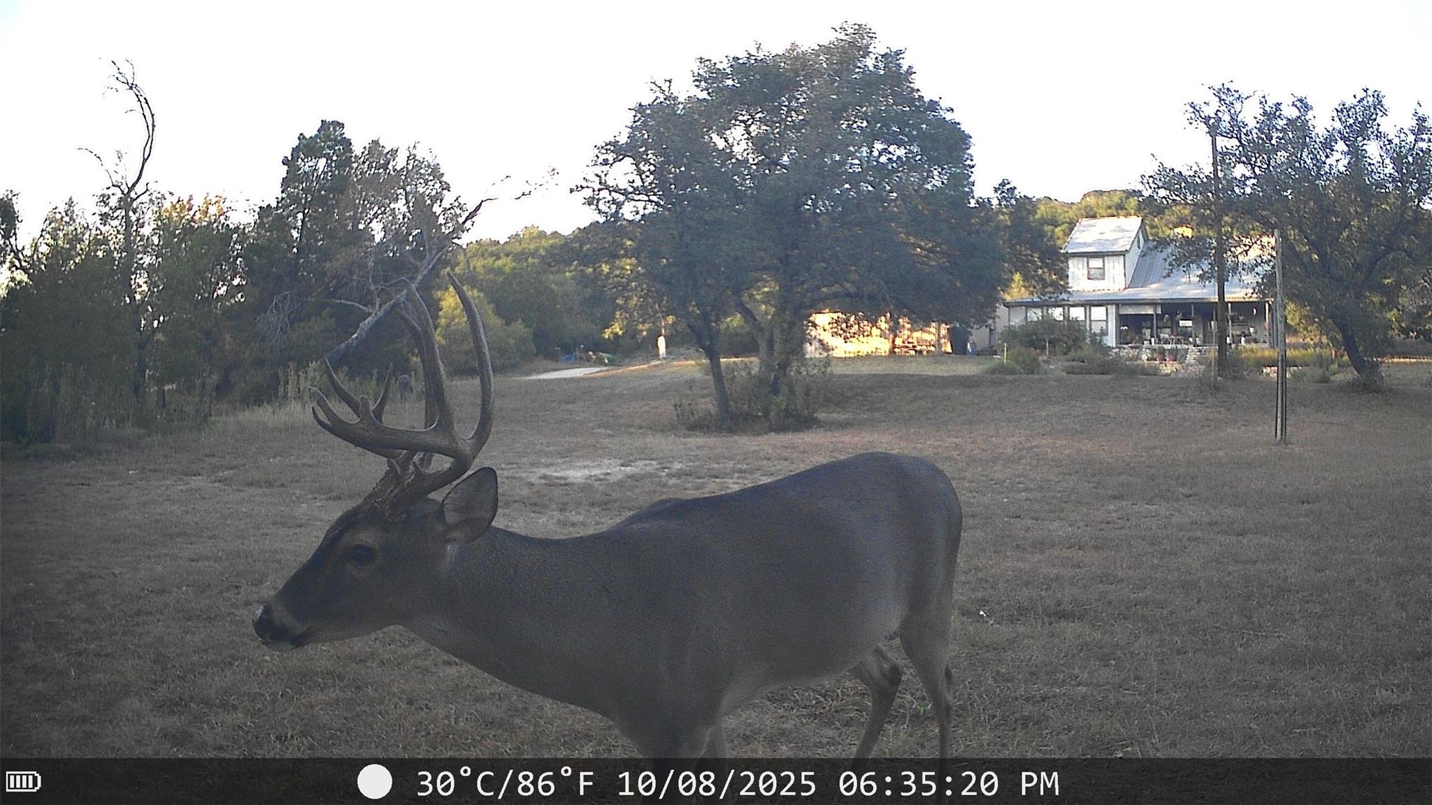 19115 Old F M Road 1431 Jonestown TX 78645