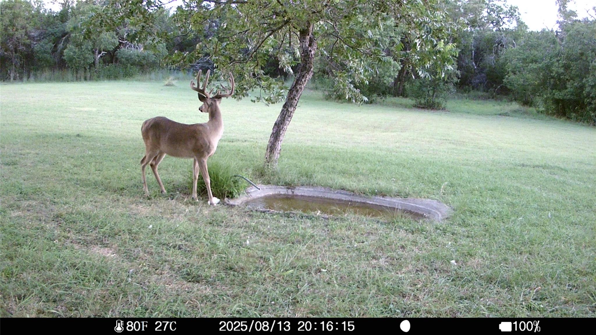 19115 Old F M Road 1431 Jonestown TX 78645