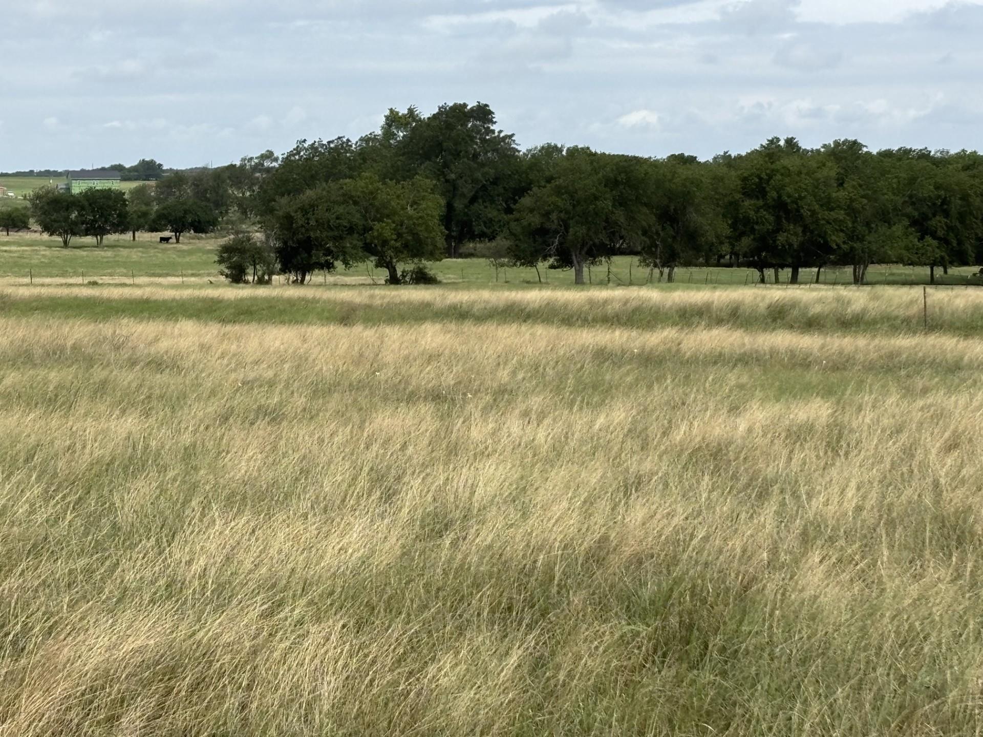 700 County Road 330 Road Granger TX 76530
