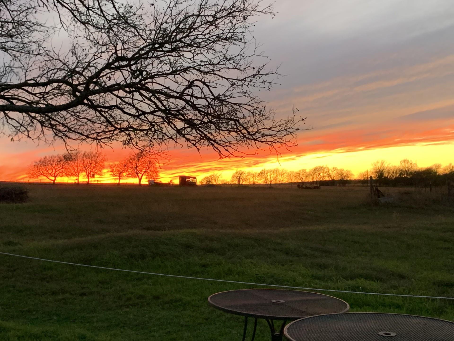 700 County Road 330 Road Granger TX 76530