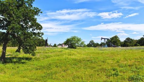 (Tract 2) Green Hill Road (+/-10.2 Acres) Caldwell TX 77836