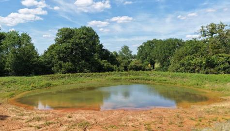 (Tract 2) Green Hill Road (+/-10.2 Acres) Caldwell TX 77836