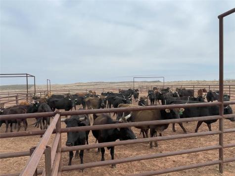 906 Cr 235 Aspermont TX 79502