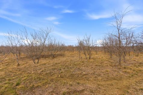 13802 Hokanson Road Del Valle TX 78617