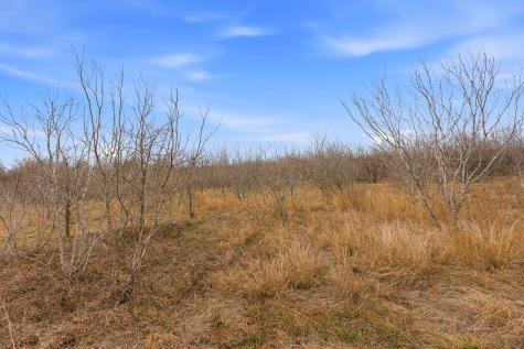 13802 Hokanson Road Del Valle TX 78617